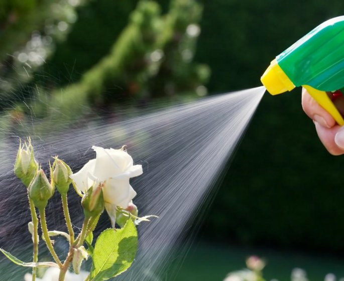 Herbicides : les dangers auxquels vous vous exposez