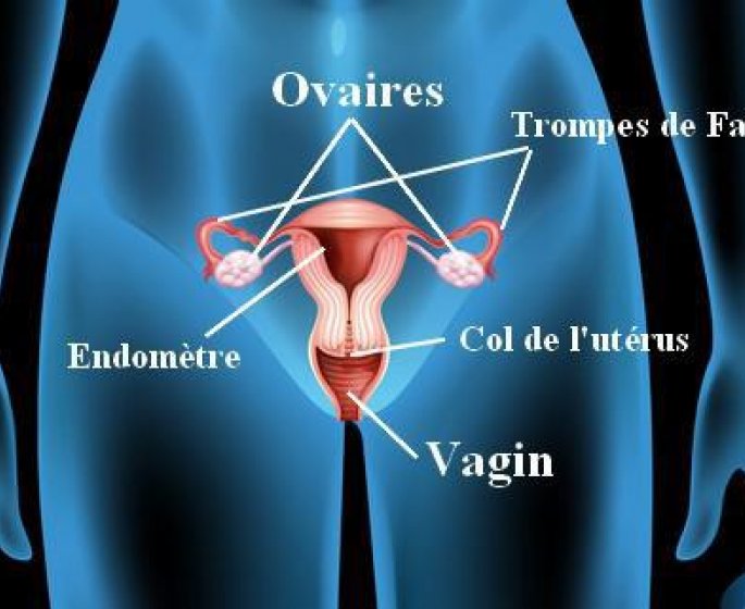 Vaginite : symptomes, causes, traitements pour la soigner