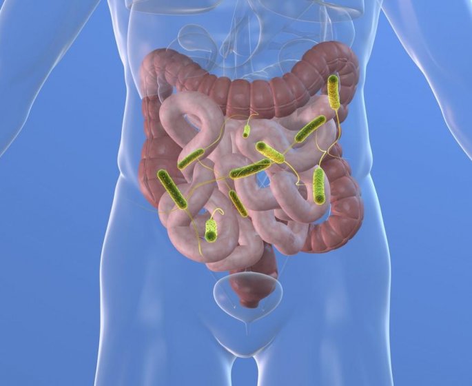 Flore intestinale : 6 signes que le microbiote est deregle