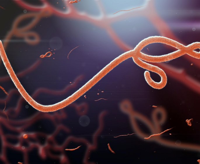Ebola : premiers cas suspects en France