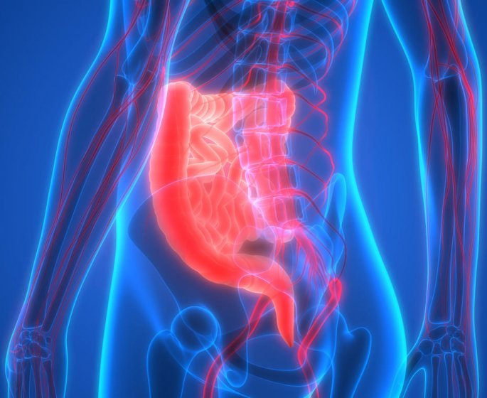 Troubles de la digestion : la candidose digestive