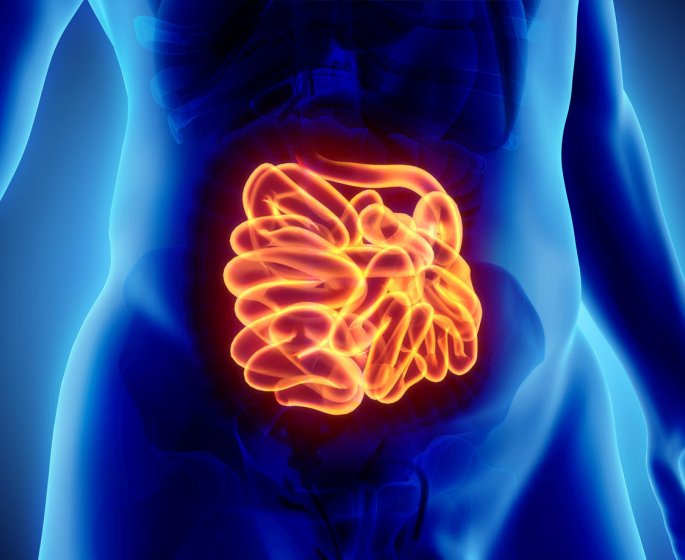 Cancer du colon : qu-est-ce que le polype adenomateux ?