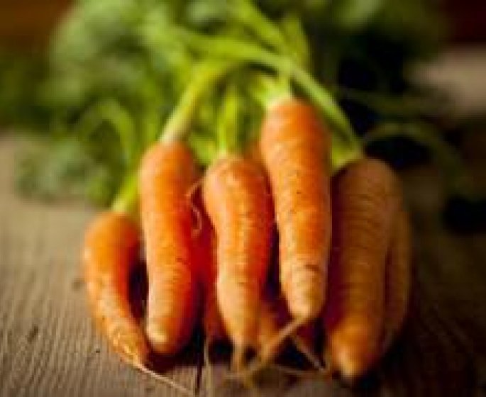 Riches en vitamine A, les carottes reduiraient le risque de cancer la prostate