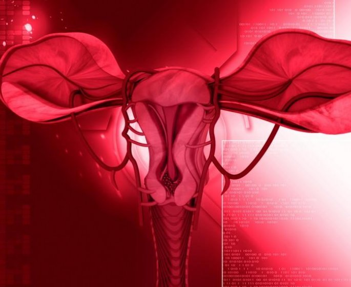 Cancer de l-endometre (corps de l-uterus) : symptomes, pronostic et traitements 