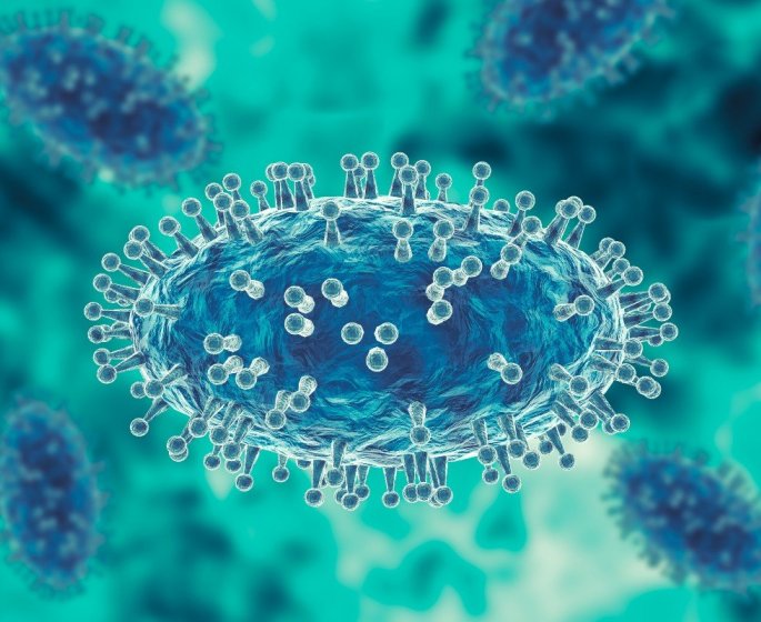 Variole et variole du singe : quelle est la difference entre les deux maladies ?