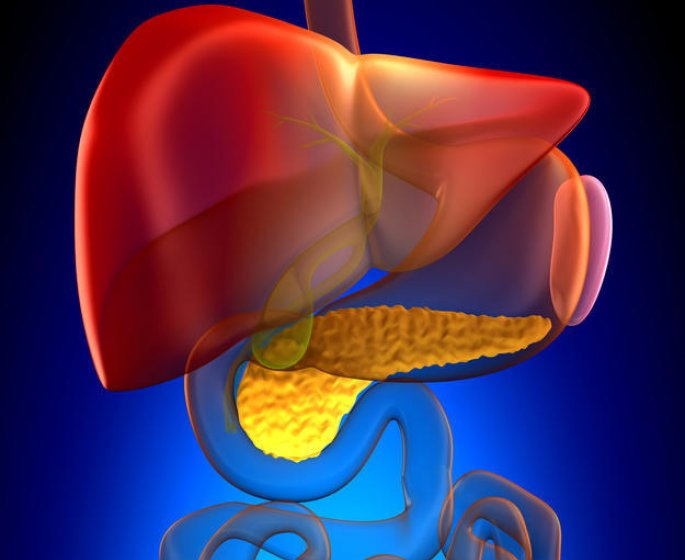 Cirrhose hepatique : 3 complications a eviter