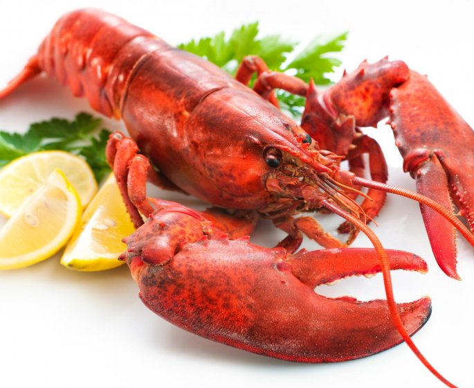 Une pilule de homard pour vivre plus longtemps ?