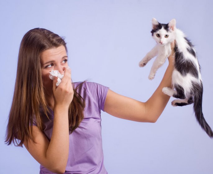 Asthme allergique lie au chat : une desensibilisation possible ?