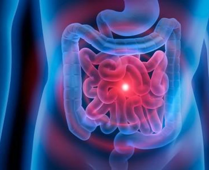 Ulcere de l-estomac : qu-est-ce que l-Helicobacter pylori ?