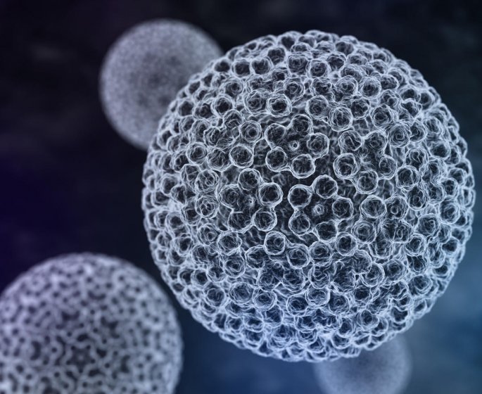 Papillomavirus : un facteur de cancer aussi chez l-homme ?