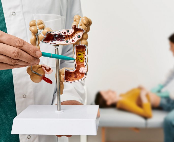 anatomical intestines model with pathology in doctor hands gastroenterologist palpates patient abdomen and examines belly...