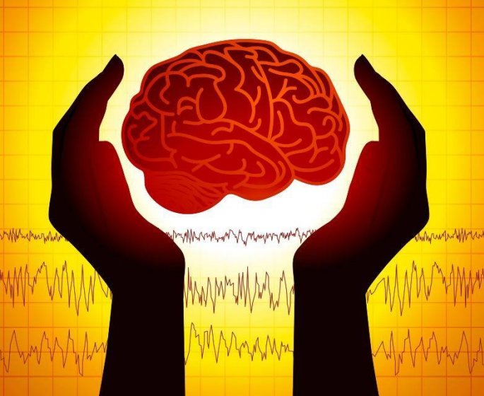 Cerveau : 5 maladies qui attaquent les zones du langage