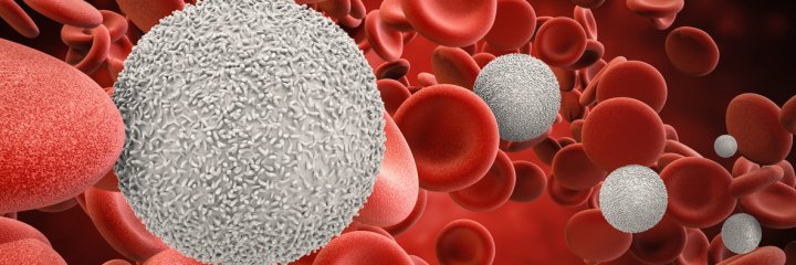 Leucocytes : globules blancs trop élevés ou bas, quel est le bon ...