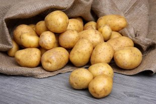 nouvelles pommes de terre