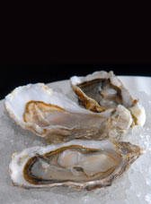 Les huîtres au gros sel et à la salicorne