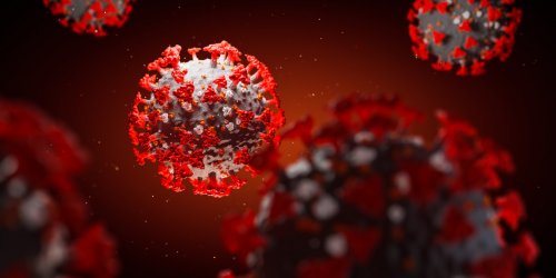 Covid-19 et immunite croisee : vous pouvez etre protege du virus sans l-avoir attrape !