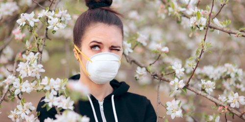Covid-19 : le pollen contribue a sa saisonnalite