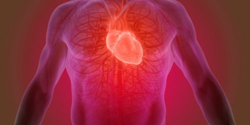 Maladies cardiaques prematurees : le mode de vie (et non la genetique) serait en cause !