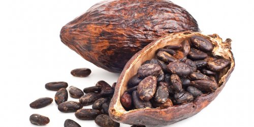  Pourquoi le cacao pourrait etre bon pour votre memoire