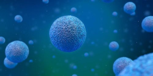 Cancer du foie : nos cellules sont determinantes dans son evolution