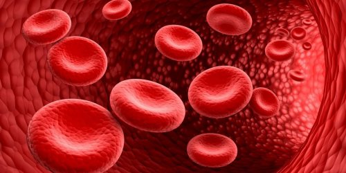 Hemochromatose : 5 solutions quand on a trop de fer dans le sang