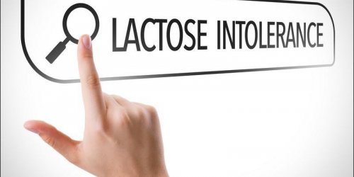 Intolerance au lactose : symptomes, traitements, que manger ?