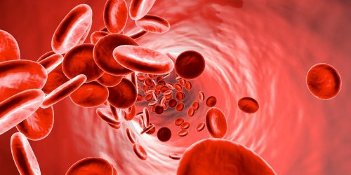 Hemopathies malignes : les cancers du sang qui touchent 35 000 nouvelles personnes chaque annee 