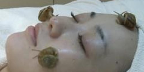 Insolite : des escargots sur la peau pour effacer les rides