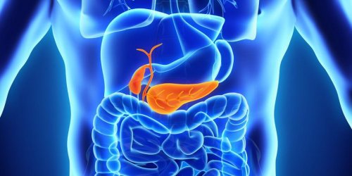 Inflammation du pancreas : combien de temps dure une pancreatite ?