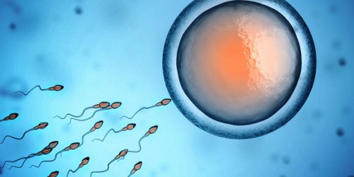 Insemination artificielle : combien de spermatozoides faut-il pour tomber enceinte ?