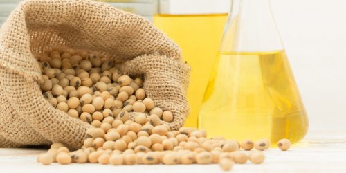 Alzheimer et Parkinson : l’huile de soja affecterait le cerveau