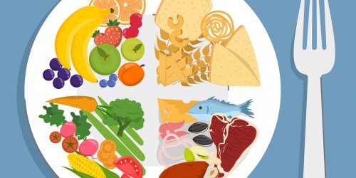 Assiette de reequilibrage alimentaire : une fausse bonne idee ?