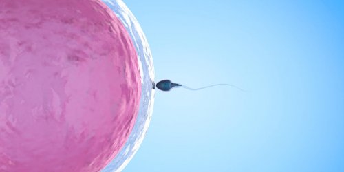 Problemes de fertilite : symptomes, causes et traitements