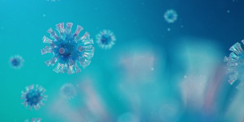 Coronavirus : quand aura lieu le pic de la 2eme vague ? 