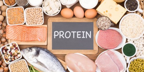 Les bienfaits des proteines 