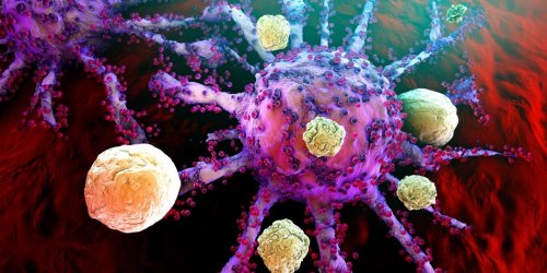 Cancer : le manque d’oxygene favoriserait les metastases