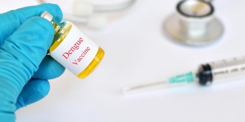 Epidemie de dengue : existe-t-il un vaccin ?