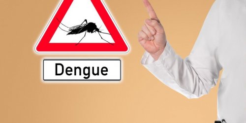 Dengue : les pays les plus a risque