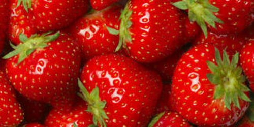 Alerte aux pesticides dans les fraises 