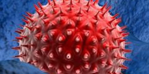 Deux virus geants decouverts par des chercheurs francais