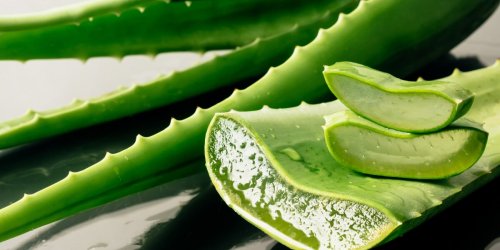 Aloe vera : les bienfaits du gel pour la beaute de votre peau et de vos cheveux