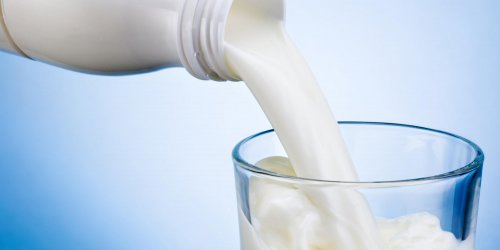 Bientot des produits laitiers pour lutter contre le cancer du colon?