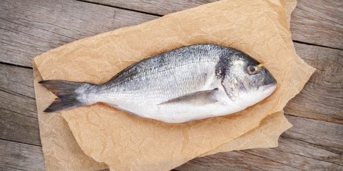 Mercure : Certains poissons seraient plus contamines que d-autres