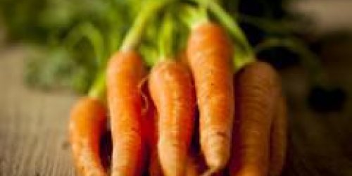 Riches en vitamine A, les carottes reduiraient le risque de cancer la prostate