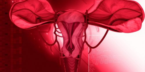 Cancer de l-endometre (corps de l-uterus) : symptomes, pronostic et traitements 