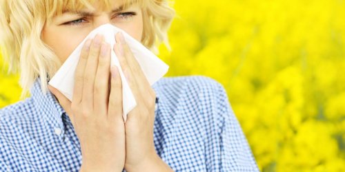 Allergies aux pollens : les departements les plus concernes