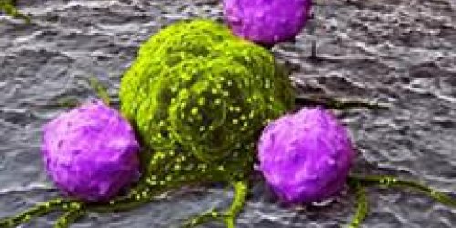 Cancer : bientot la fin des metastases ?