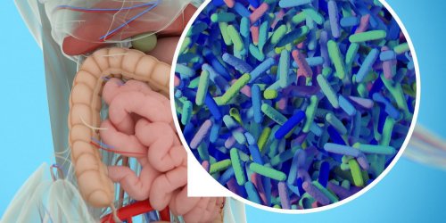 Et si nos problemes de sante venaient de nos microbiotes ?