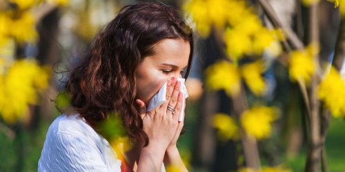 Pollens : pourquoi d-ici 2050 la moitie de votre foyer y sera certainement allergique