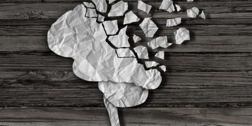 Alzheimer : des &quot;nœuds&quot; de proteine dans le cerveau a l-origine de la maladie ?